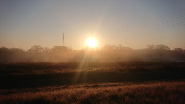 朝もやの入間川１.JPG