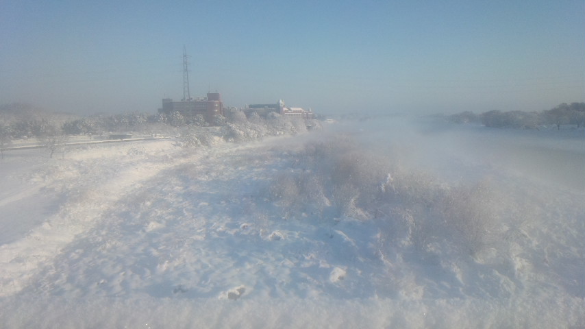 大雪の入間川2.jpg