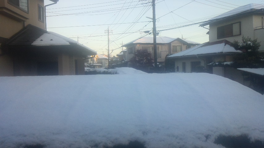 11.27雪2.jpg